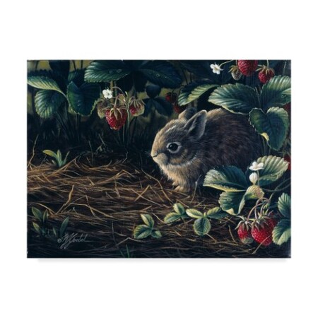 Wilhelm Goebel 'Young Cottontail' Canvas Art,18x24